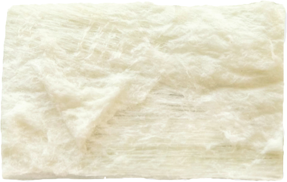 Fascia Lata Membran , 15 x 20mm