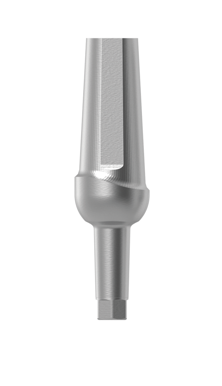 4,0 x 3,0mm 0° Anatomic Aufbau mit 2mm Pfosten indexiert