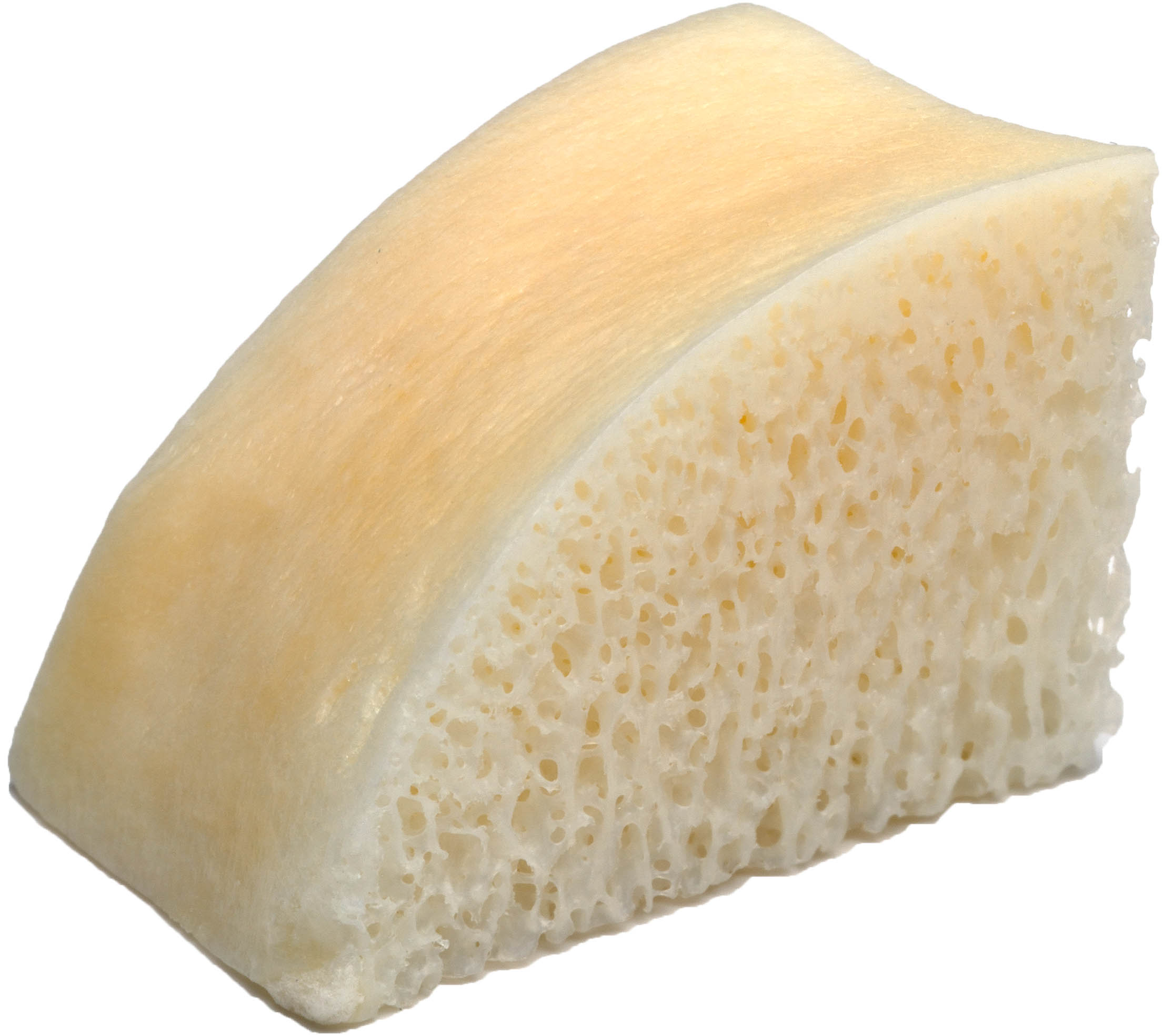 Corticosspongiosa Chip, 10mm Stärke, 15 x 20mm