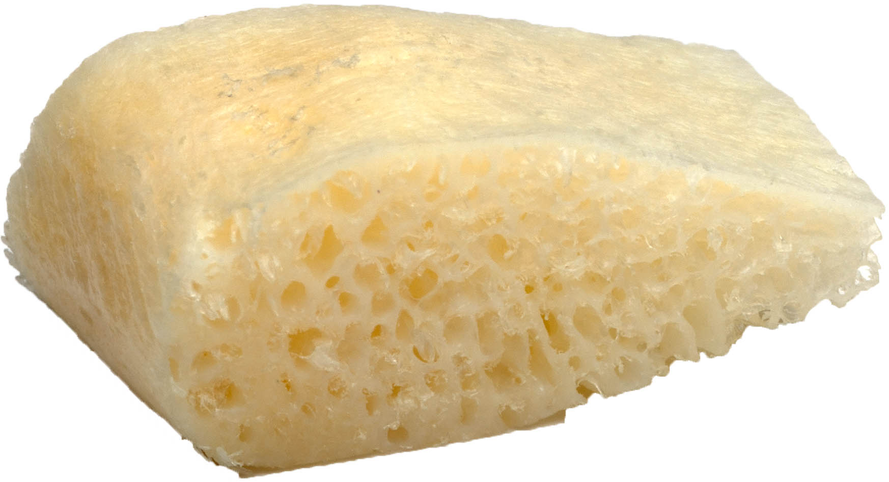 Corticosspongiosa Chip, J-form , 4-5mm Stärke, 10 x 10-15mm