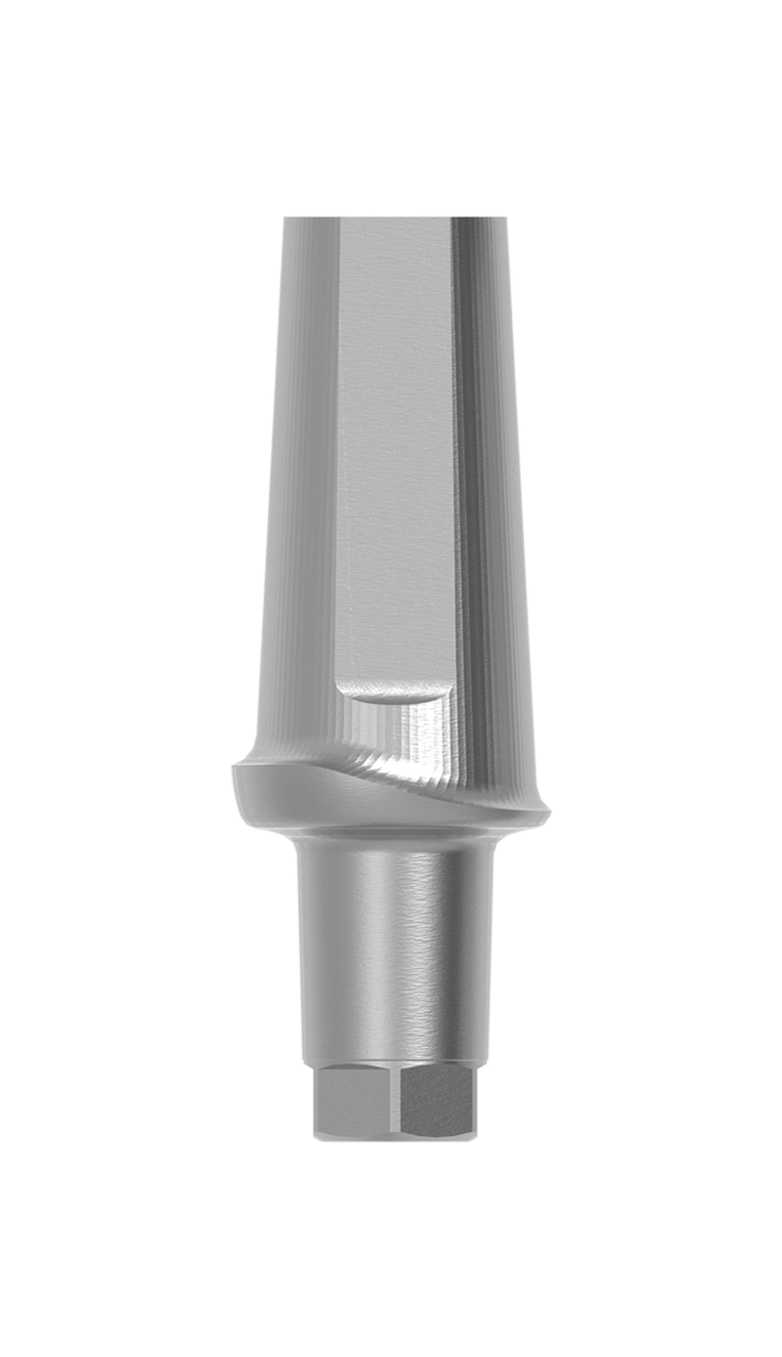 5,0 x 0,5mm 0° Anatomic Aufbau mit 3mm Pfosten indexiert