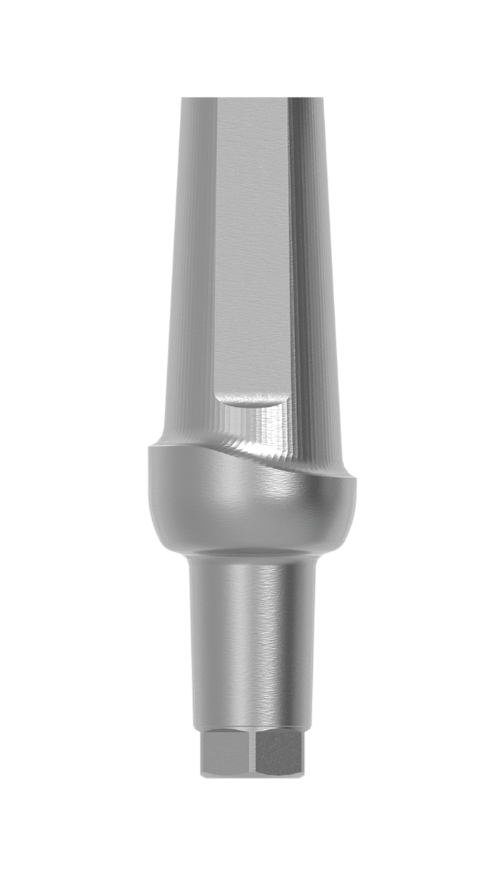 5,0 x 3,0mm 0° Anatomic Aufbau mit 3mm Pfosten indexiert